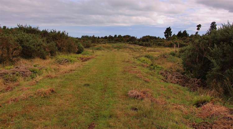 Blue Spur Road Hokitika_8
