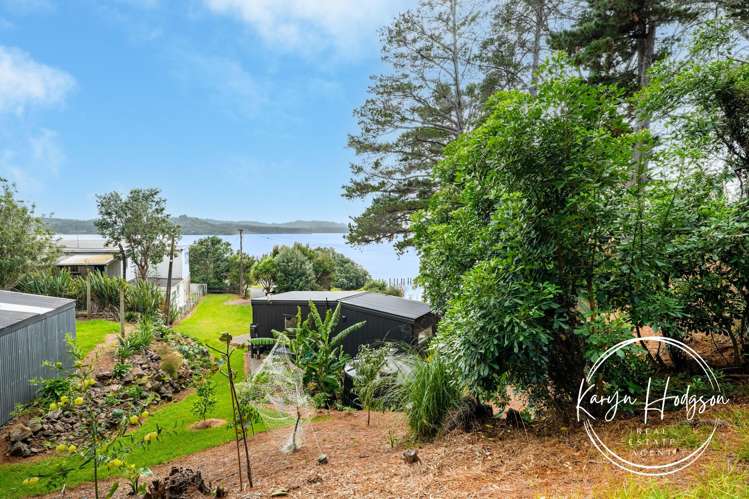 164 Komiti Road Tinopai_22