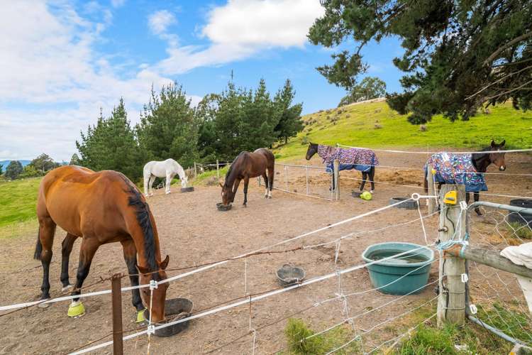 749 East Taieri-Allanton Road Allanton_25