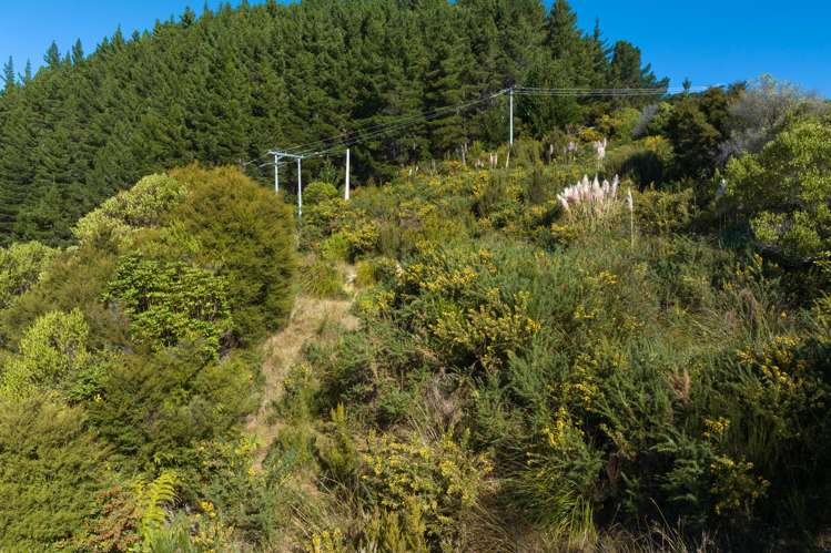 318 Port Underwood Road Waikawa_18
