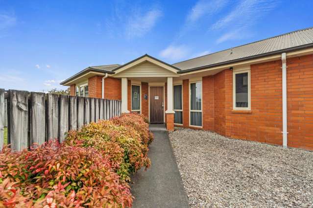 250A Park Road Te Awamutu_1