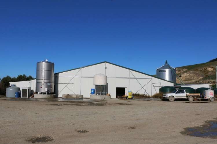 277 Mill Road Waimate_1