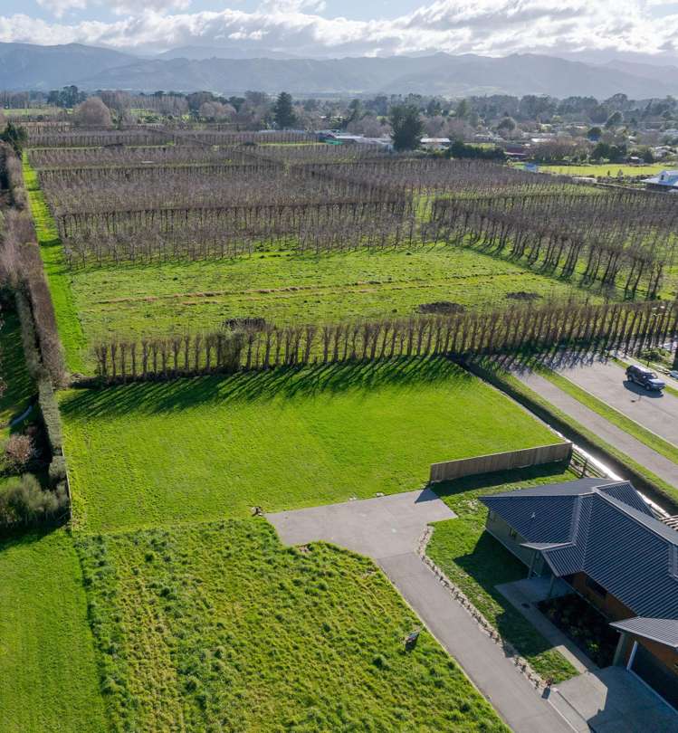 4B Stevens Drive Greytown_8