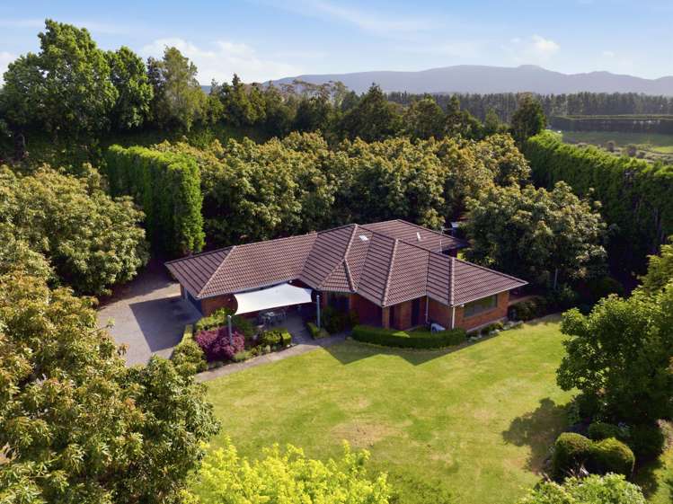 2165A State Highway 2 Aongatete_2