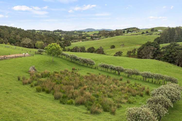 151 Kereru Lane Kaiwaka_31