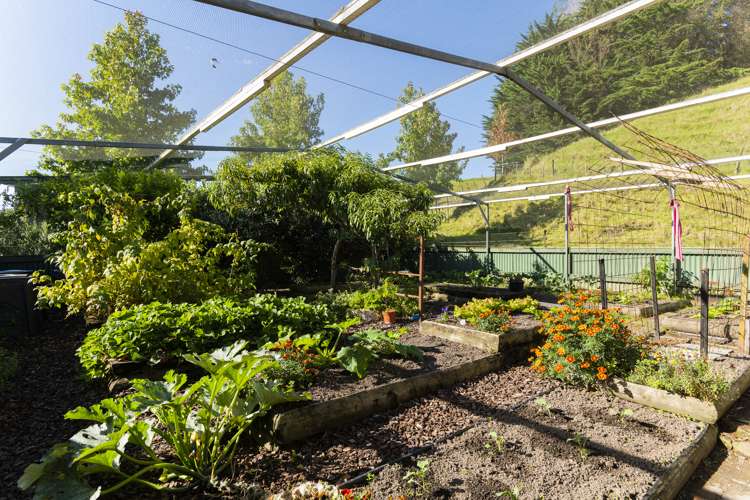 50 Domain Road Ormond_18