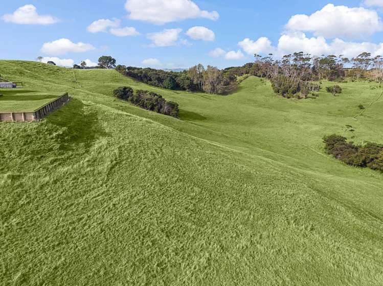 1088 South Head Road Helensville_19