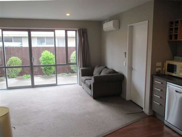 1/13 Elizabeth Street Riccarton_3