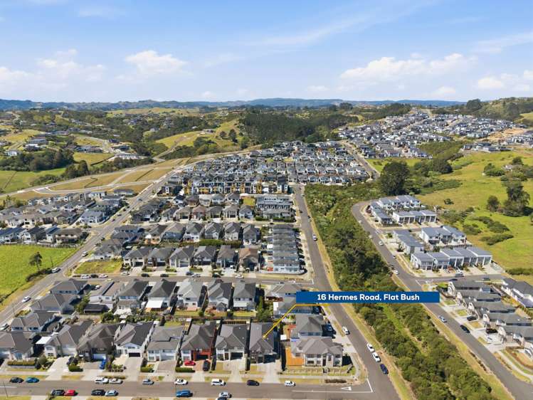 16 Hermes Road Flat Bush_39