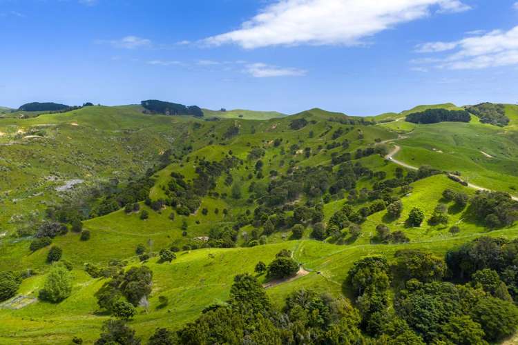 Te Akau Coast Road Te Akau_7