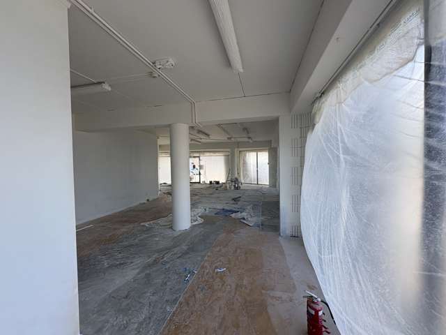 172 Ponsonby Road Ponsonby_3