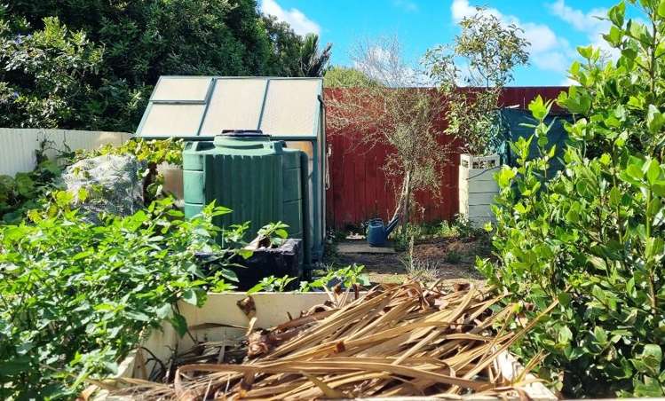 43 Norton Street Te Kopuru_7