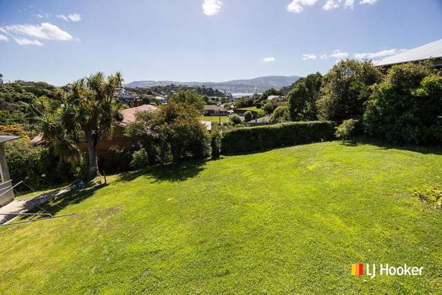 38 Spottiswoode Street Andersons Bay_3
