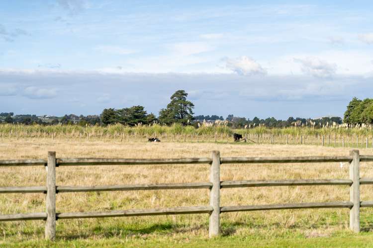 102 Paierau Road Opaki_16