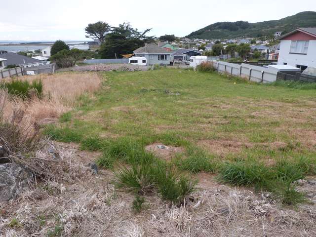 66 Shannon Street Bluff_2