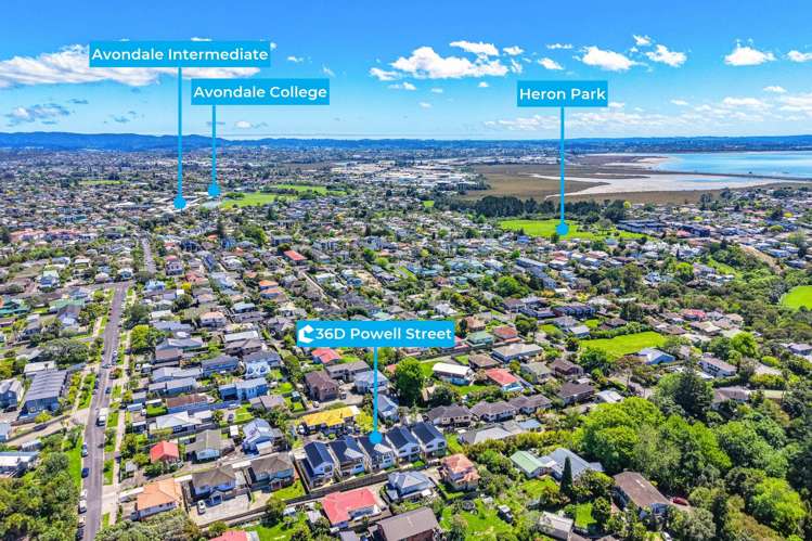 36D Powell Street Avondale_27