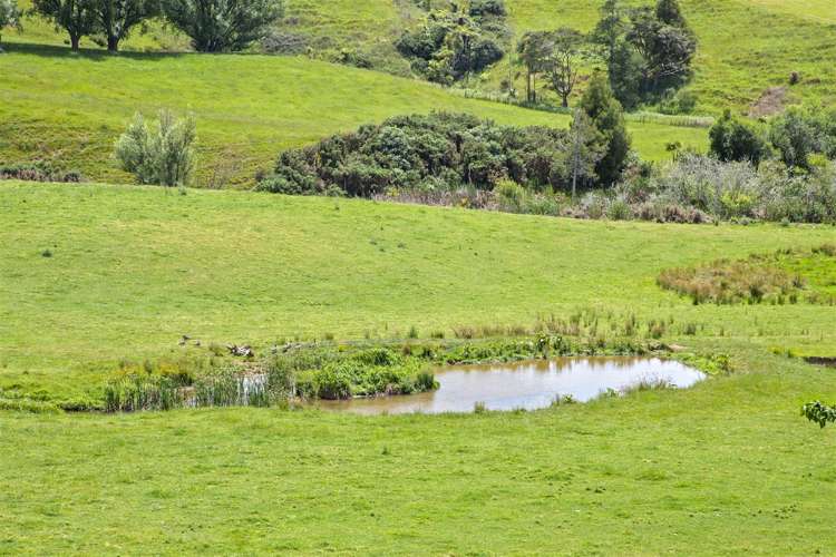 200 Highway 22 Pukekawa_13