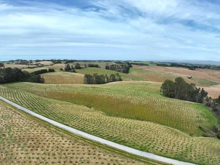 174 McCulloch Road Awamangu_9