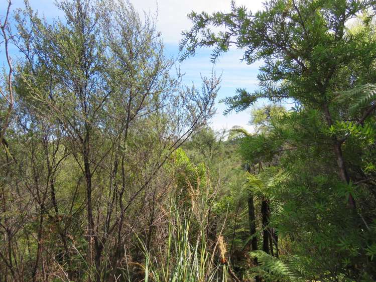 1022A Fairdown Road Fairdown_6