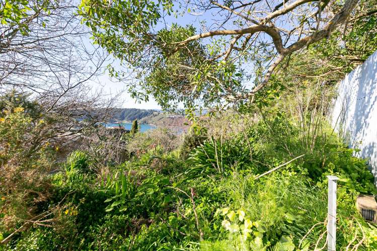 55 Kainui Road Hataitai_25