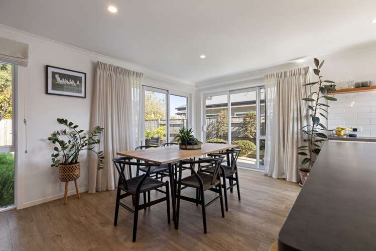 29 Monarch Drive Ashhurst_2