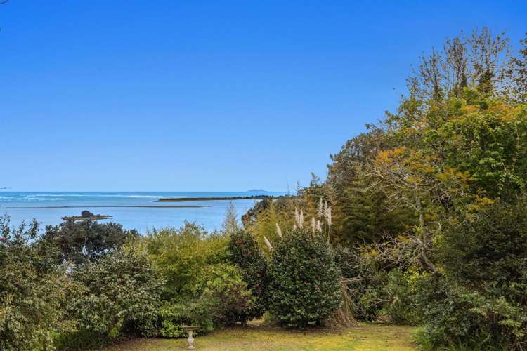 121 Reeves Road Opotiki and Surrounds_5