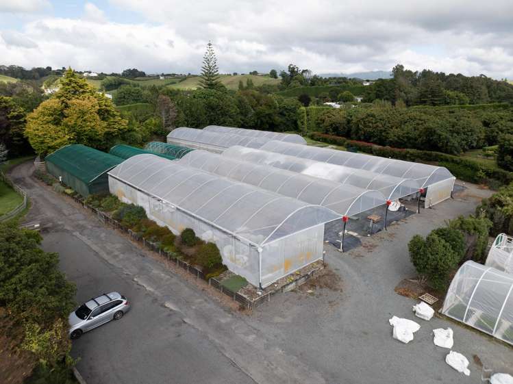 389 Old Highway Whakamarama_24