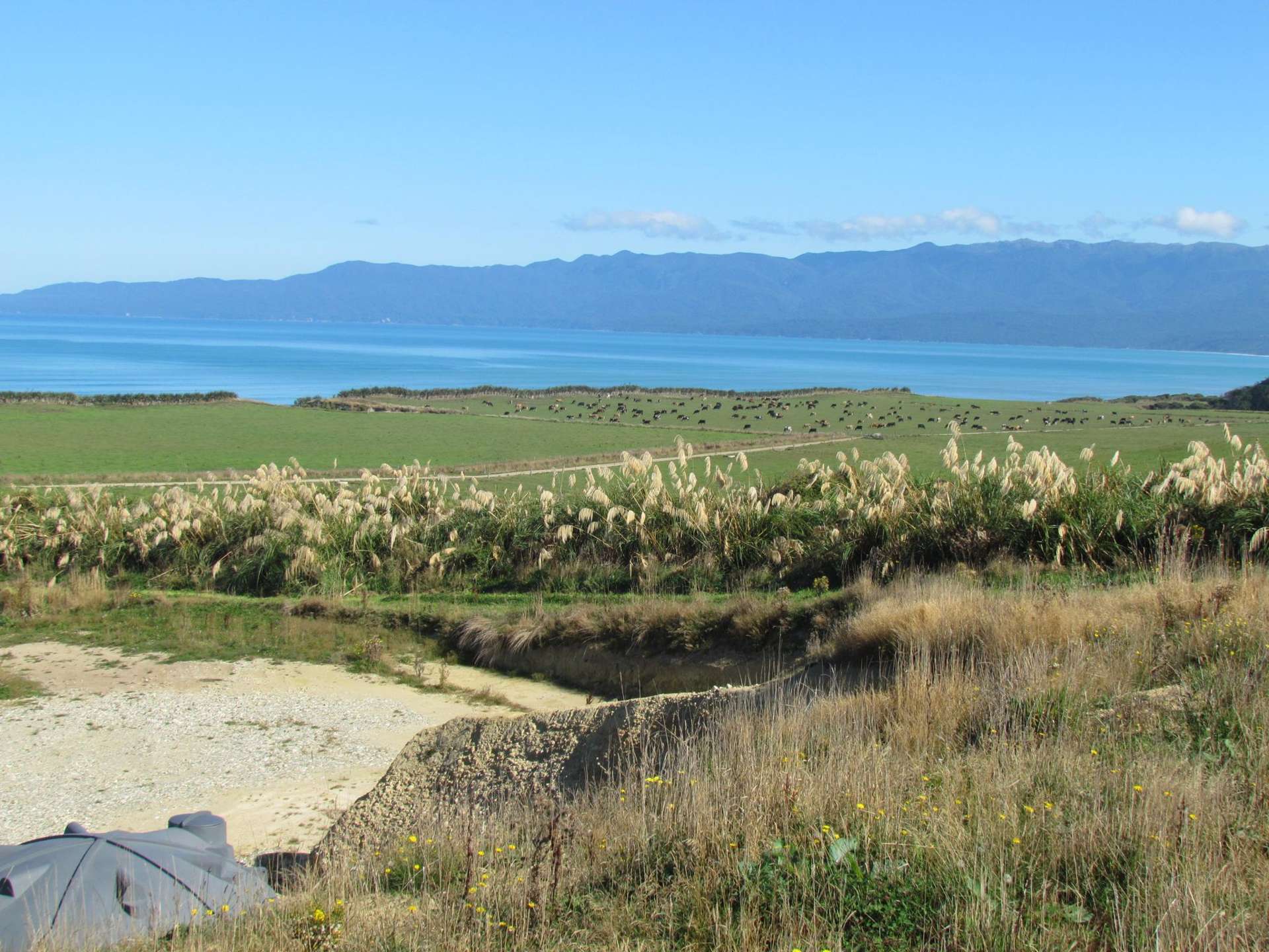 25 The Cliffs Tuatapere_0