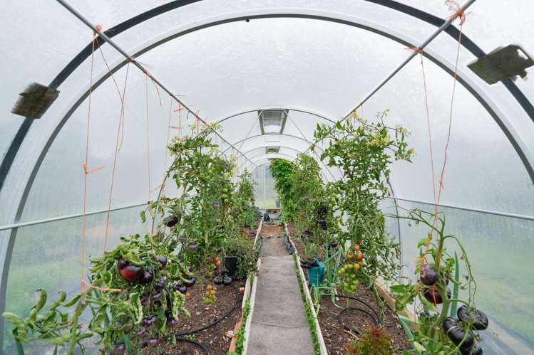 193 Mason Road Seaward Bush_19