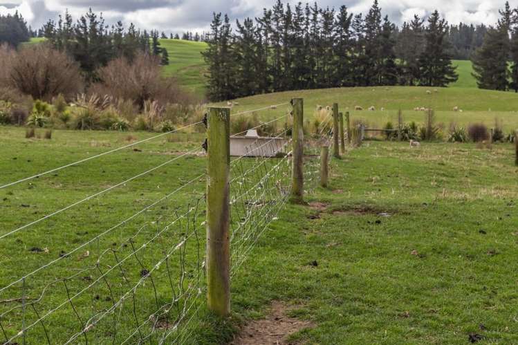 2/449 Hororata Road Coalgate_10