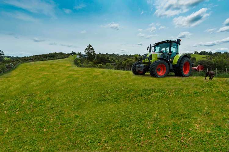 33 Karahiwi Lane Dairy Flat_9