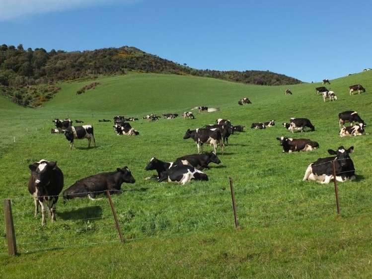 685 Benmore Otapiri Road Winton Surrounds_2