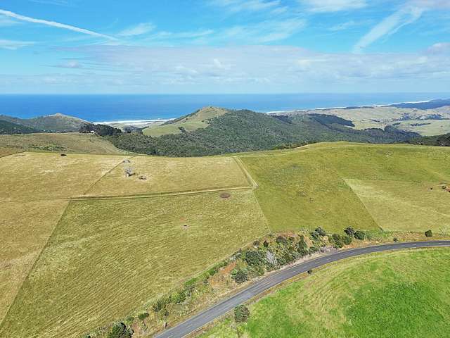 Cnr Hood Rd and SH12 Dargaville Surrounds_2