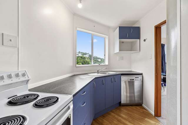 13a Koromiko Road Aro Valley_4