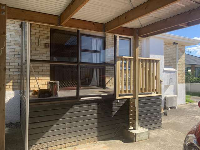 93 Argyll Road Greerton_2