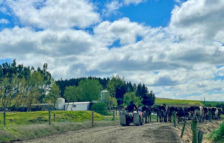 650 Koi Flat Road Gore Surrounds_19