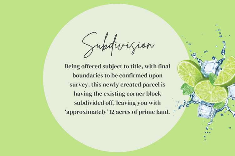 221 Smiths Road Leithfield_34