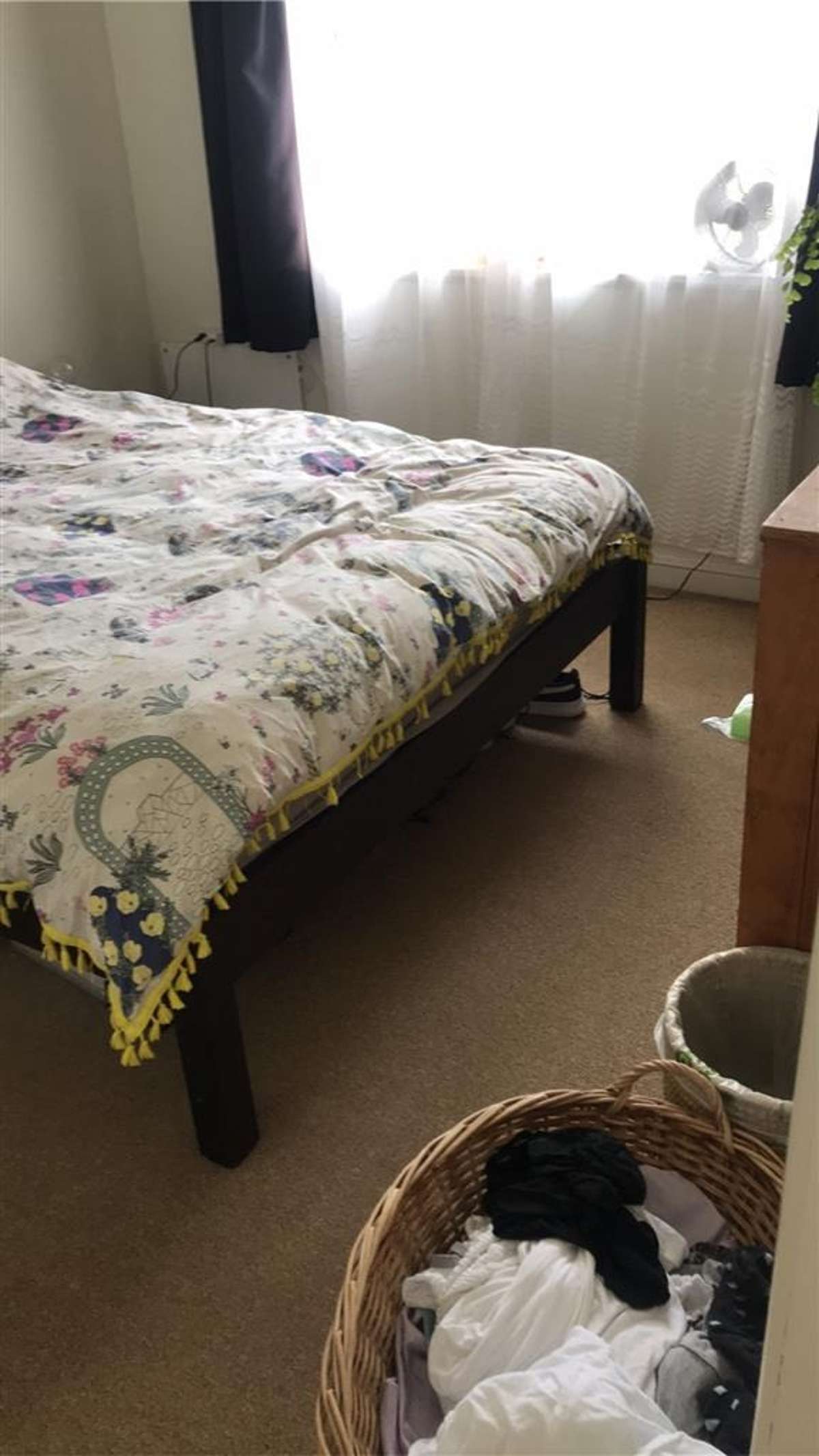 B/143 Waikato Street, Town Centre 5