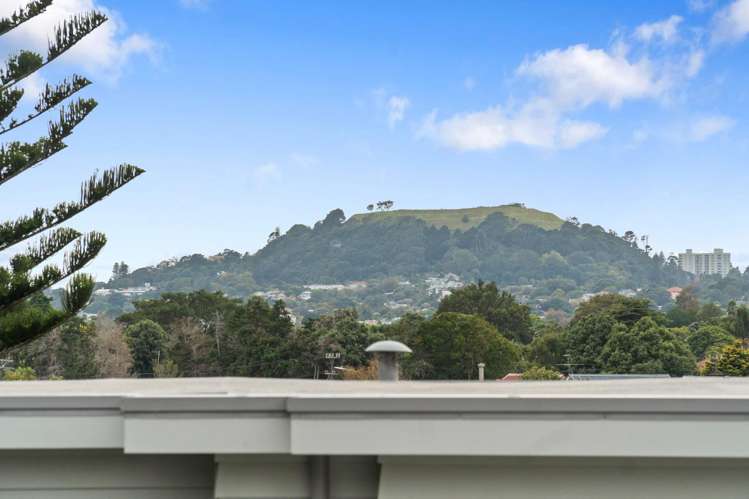 298B Mount Albert Road Sandringham_11