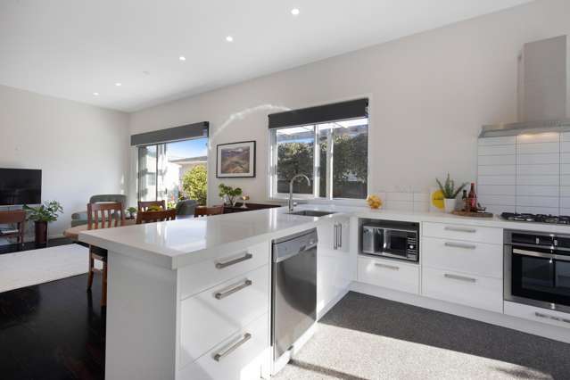 67 Devonshire Road Miramar_3