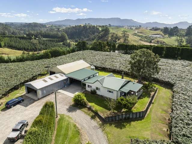 26E Wainui South Road Whakamarama_1
