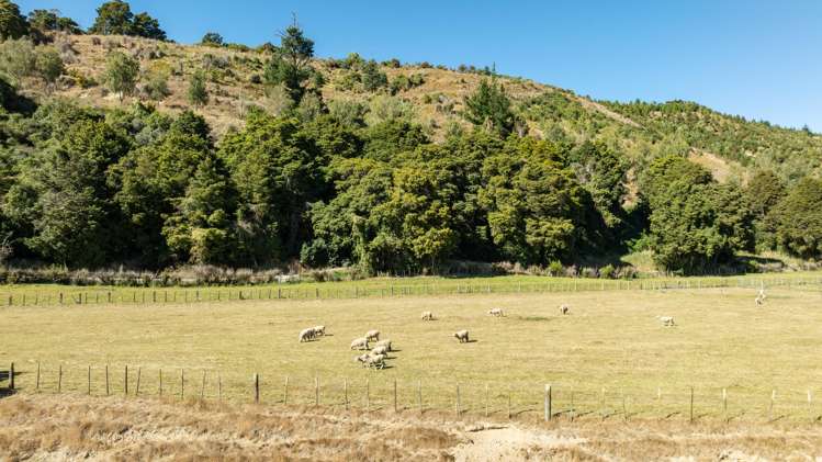 89 Wakefield-Kohatu Highway Wakefield_9