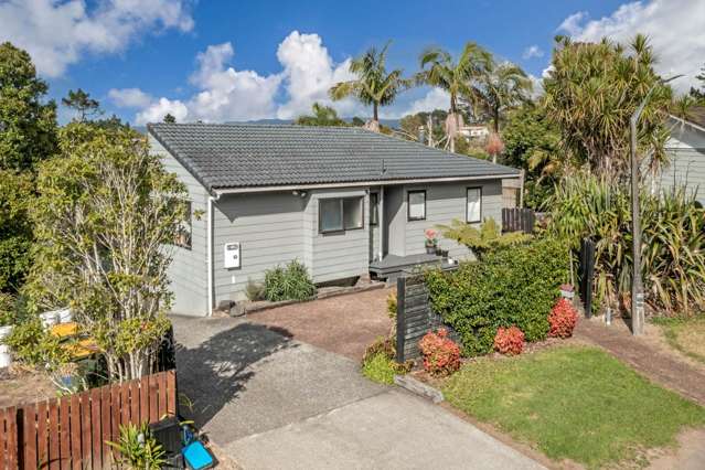 86 Anich Road Massey_3