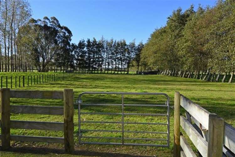 406a Upper Plain Road Upper Plain_22