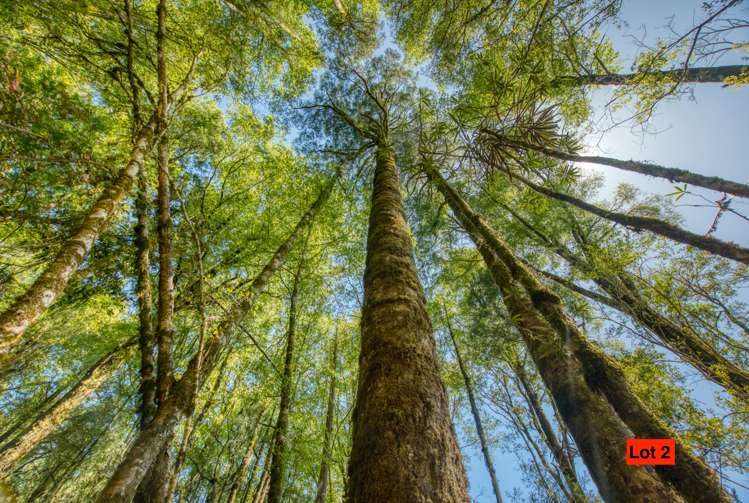 3021 State Highway 7 Ngahere_8