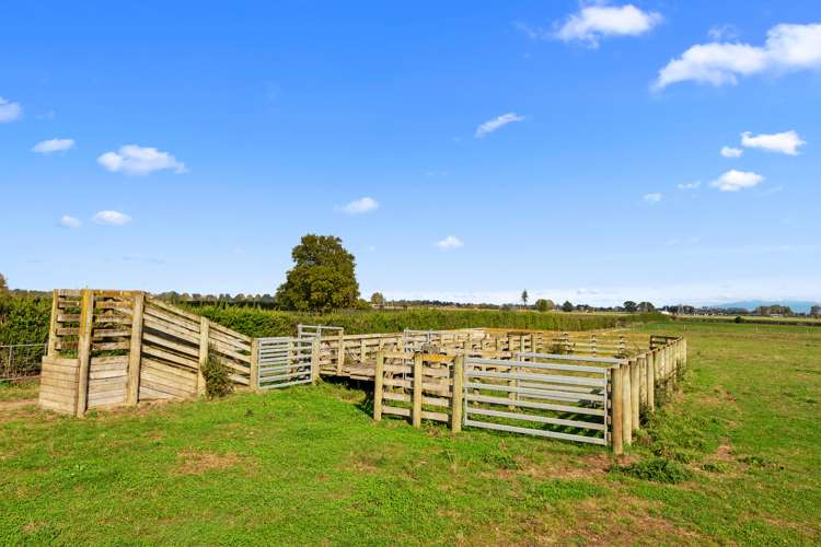 411 Marychurch Road Matangi_13