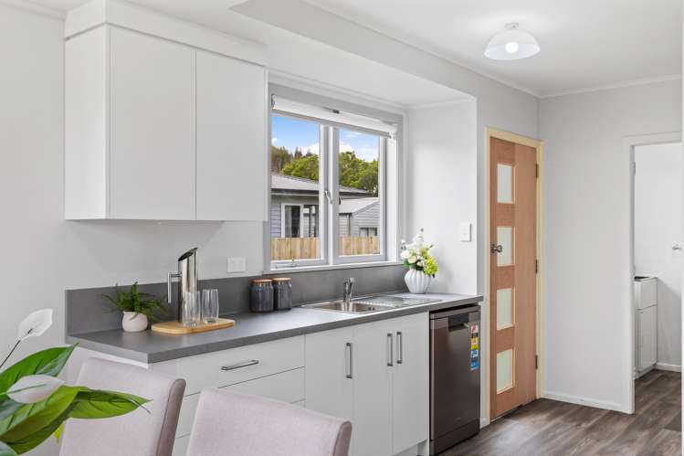 24 Frederick Drive Dinsdale_9