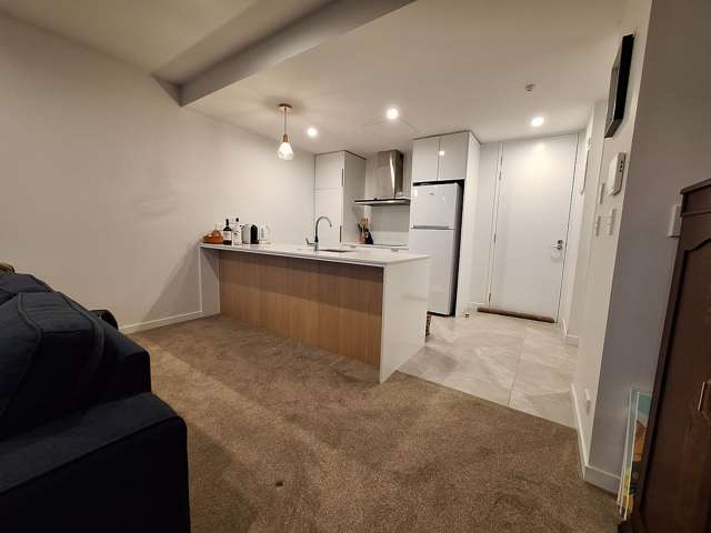 209/1 Kimiora Street Three Kings_3