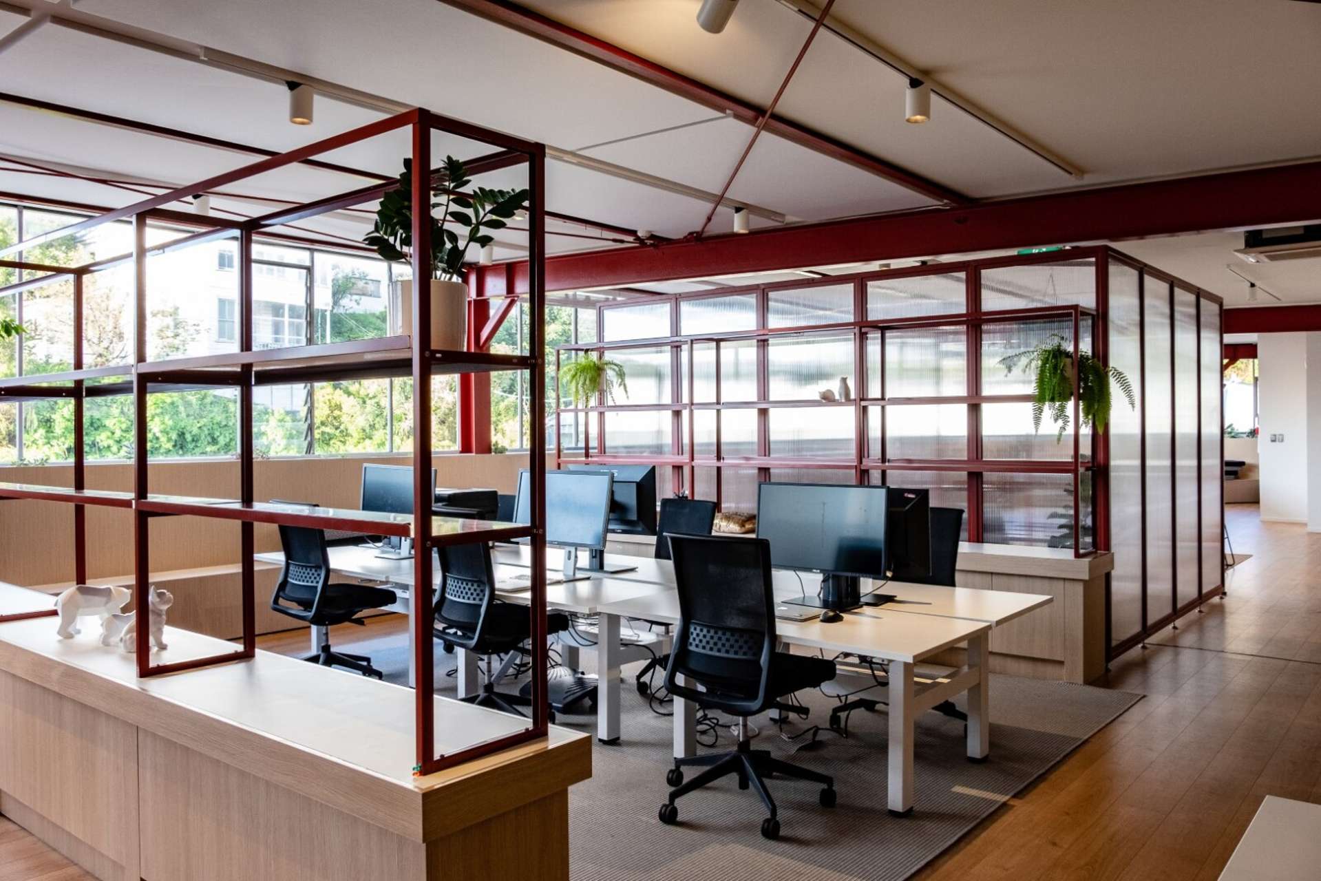 11 McColl Street Newmarket_0