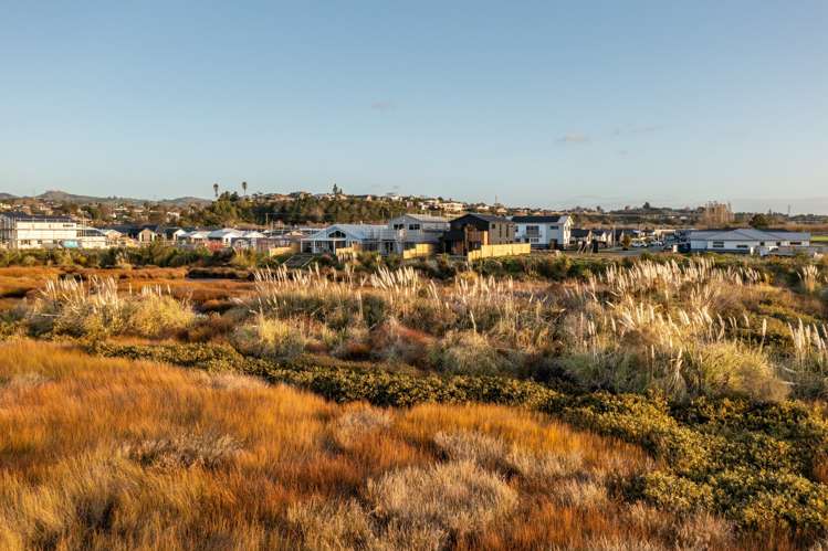 31 Hinaki Street Poike_5